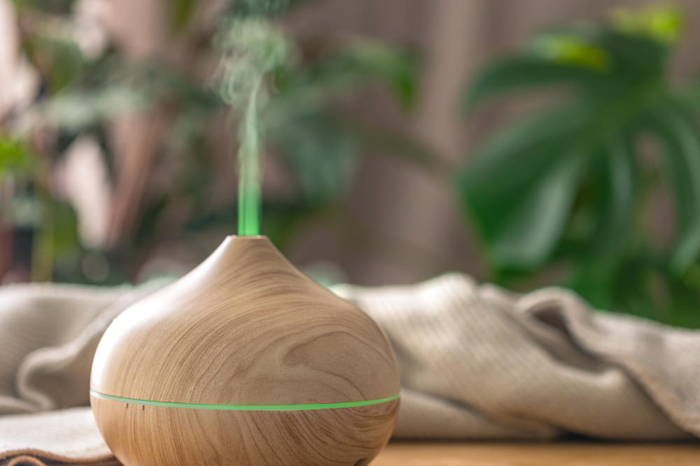 Use a Humidifier Indoors winter skincare tips for glowing skin