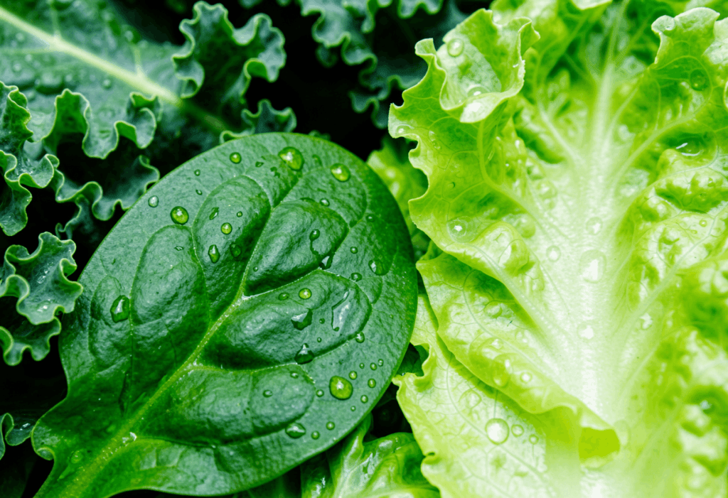 Leafy Greens